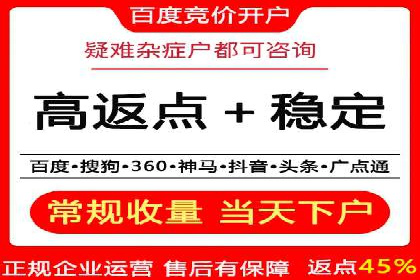 百度SEO推广公司案例分析：成功案例解析